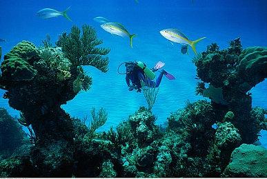 《名侦探皮卡丘：闪电回归》后仍有系列新作可能